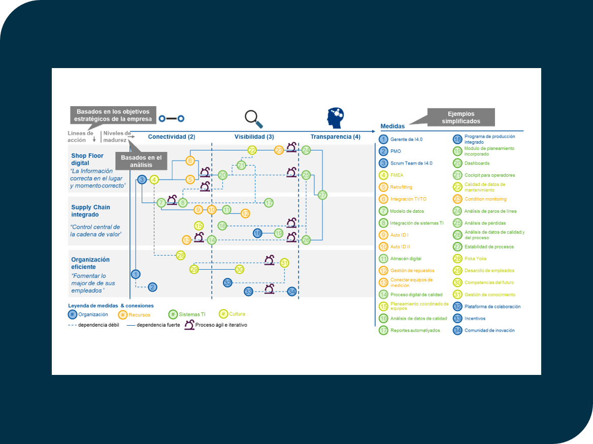 Prioritized activities Roadmap, related between activities, resources and maturity levels, based on the business strategic objectives.